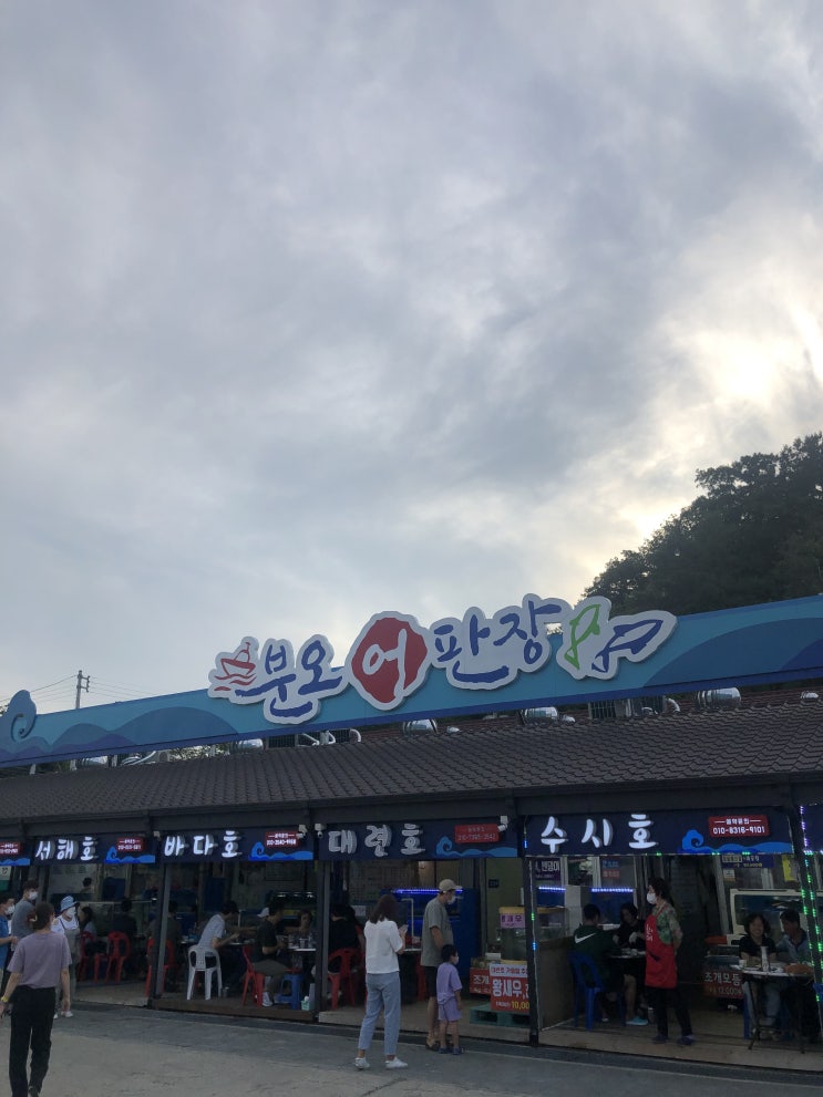  강화도 가성비 맛집 분오어판장 서해호 회센터