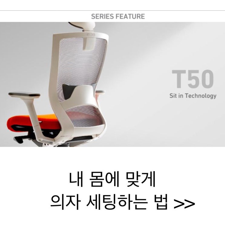  시디즈 T500 HLDA 사용법: 개포스터디카페 포레
