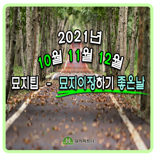  2021년 10월 11월 12월 묘지이장하기 좋은 날