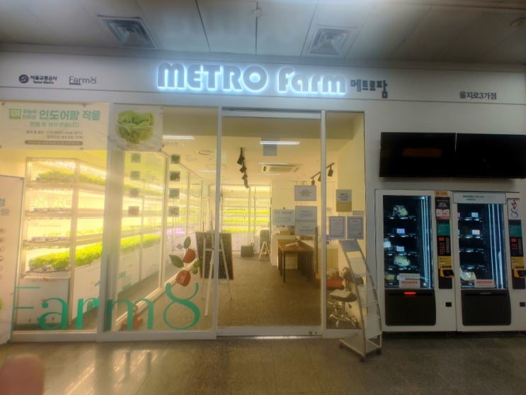  지하철역에 농장이 있네요.(을지로3가역, 메트로팜)