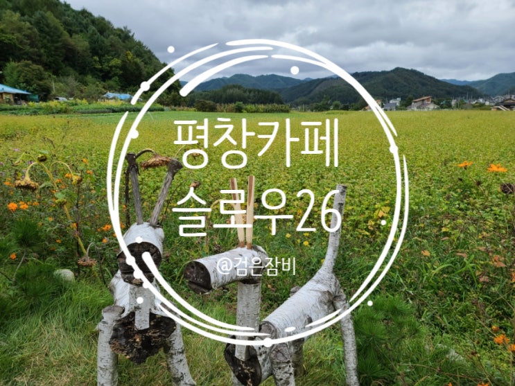  평창 여행을 계획중이시라면 찾아갈만한 평창 봉평 카페 슬로우26.