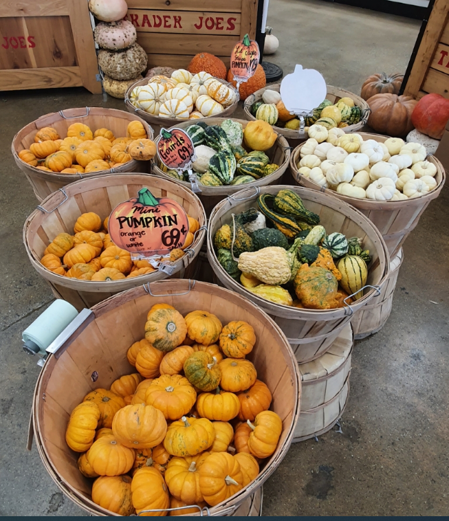  트레이더 조 Trader Joe's추천 품