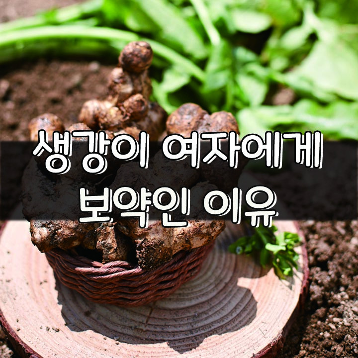  [생강이 여자에게 보약인 이유]