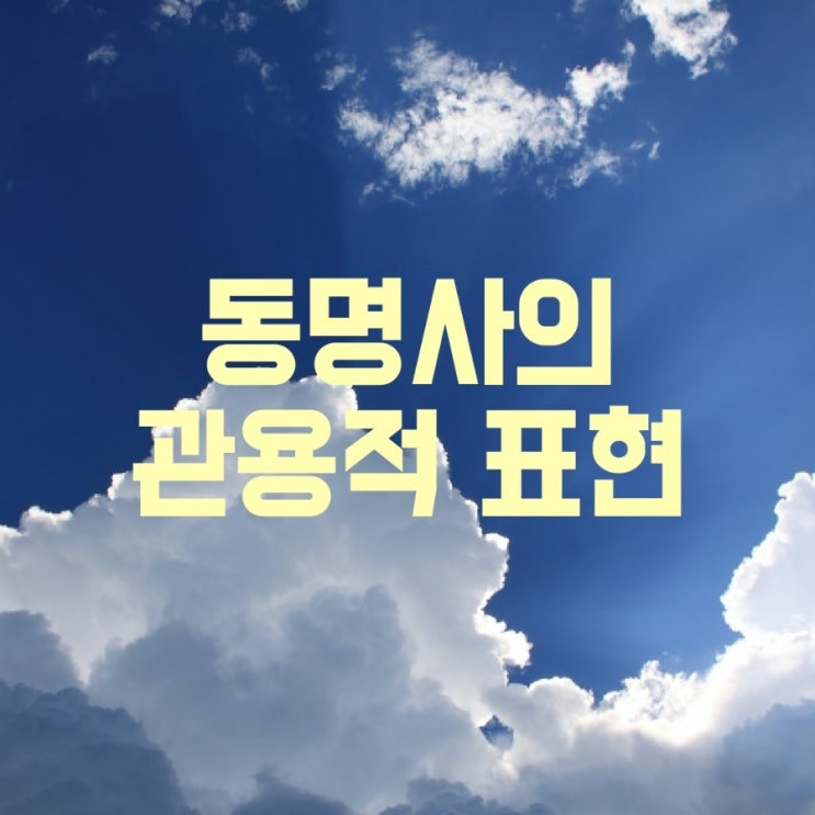  동명사 관용적 표현 어구들 (패턴과 예문들)