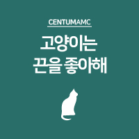  고양이는 끈을 좋아해