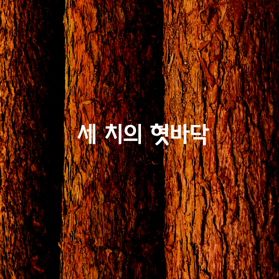  세 치의 혓바닥