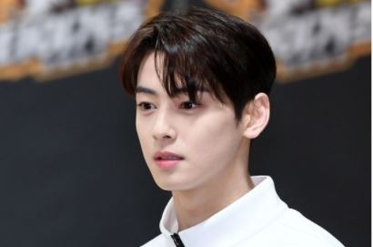  여기 차은우 얼굴과 49억이 있습니다.