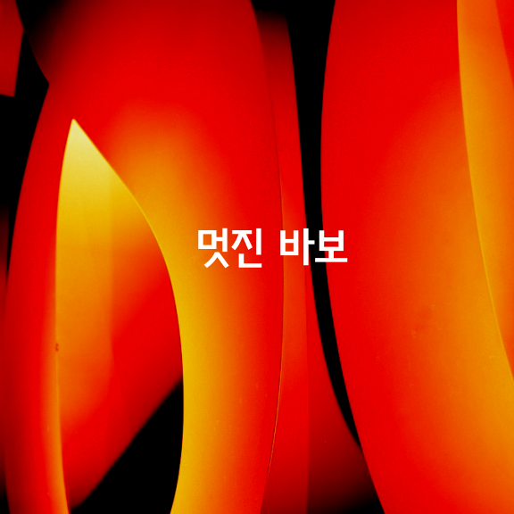  [멋진 바보]