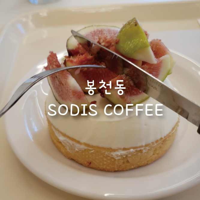  [봉천동/디저트카페] 매력적인 공간과 수제타르트가 맛있는 소디스카페