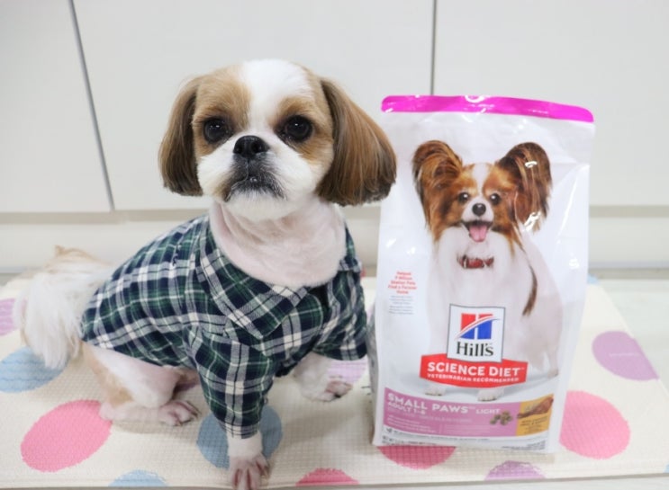  강아지 다이어트사료, 기호성 짱 좋은 힐스 스몰포 라이트