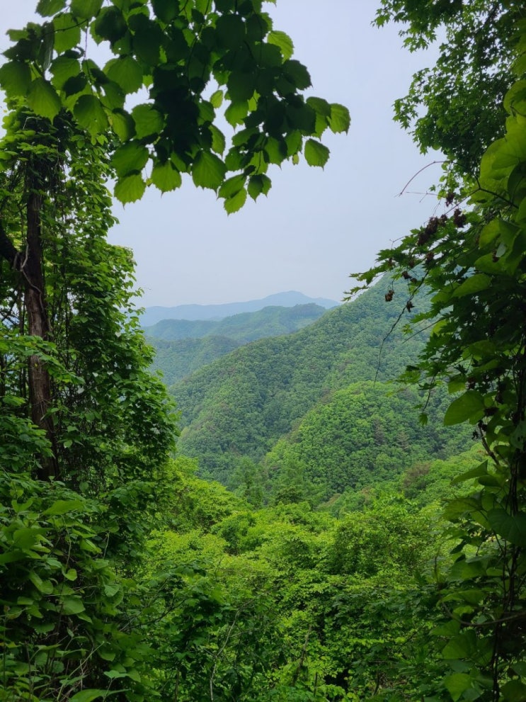 말은 운명도 변화시킨다