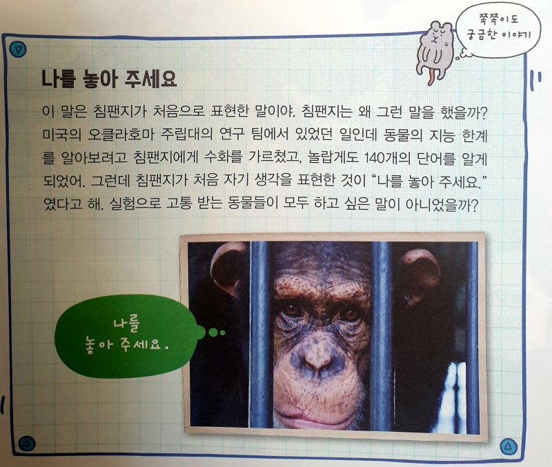 찬반토론] 동물 실험 : 네이버 블로그