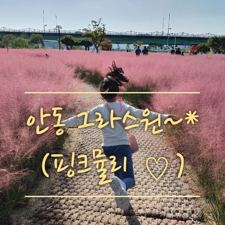  안동 그라스원 (핑크뮬리 공원,안동 가볼만한곳,10월의 안동,안동데이트할만한곳,안동가족소풍,안동무료자전거대여)