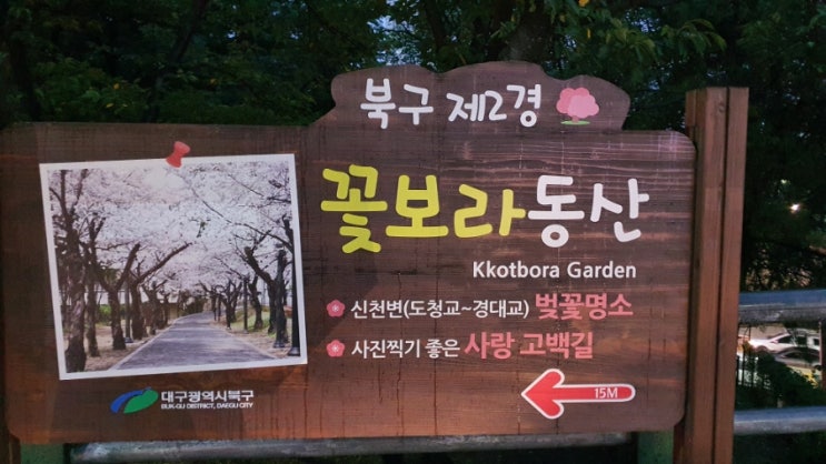  대구 꼭 가볼 만한 곳 북구제2경 꽃보라동산 야경