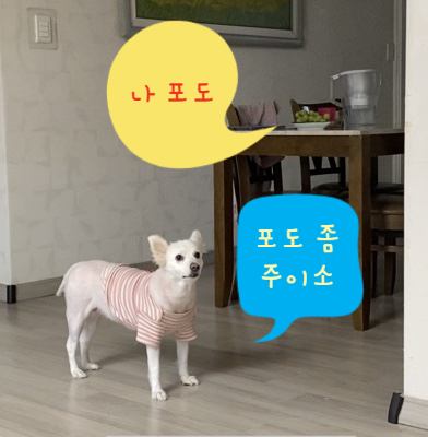  월급 중독에서 벗어나기, 요즘 심경 D-4_마흔 살에 퇴사하기 22편