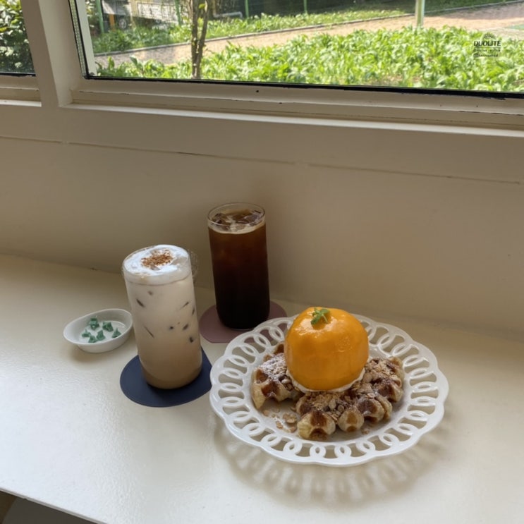  [광주/수완동/카페] 꾸르커피 :: 애견동반 가능한 수완지구 카페, 복숭아 크로플 맛집