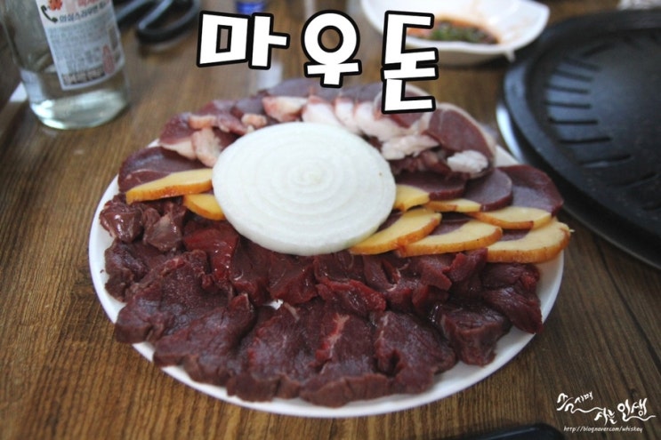  [제주 성산 맛집] 제주도 말고기 무한리필 마우돈