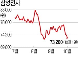  골드만삭스마저 "타격 불가피"…삼성전자 목표주가 낮췄다