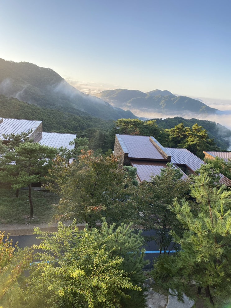 [충북 제천 여행] 숲캉스 최고 명소 포레스트 리솜 빌라형 S30 객실 후기