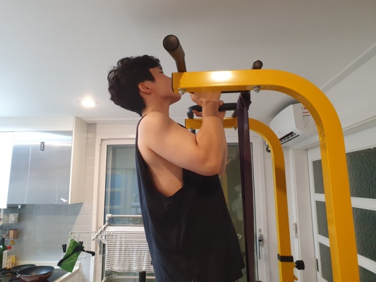  EGOJIN 이고진 치닝디핑 다재다능한 턱걸이 믿고쓰는 철봉