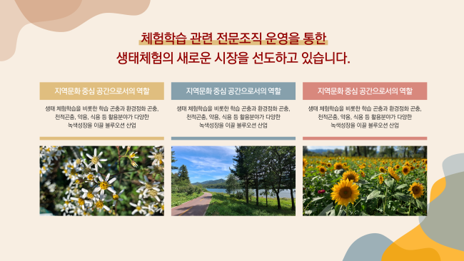  피피티 편집디자인 제안서, 보고서, 발표용 ppt 디자인 -루어투어ppt디자인