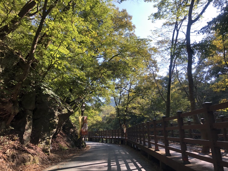  세계문화유산 공주 마곡사 여행