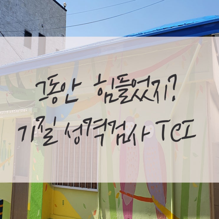  TCI 기질검사 자극 추구 위험회피 다 높아 자율성 연대감 매우 낮음