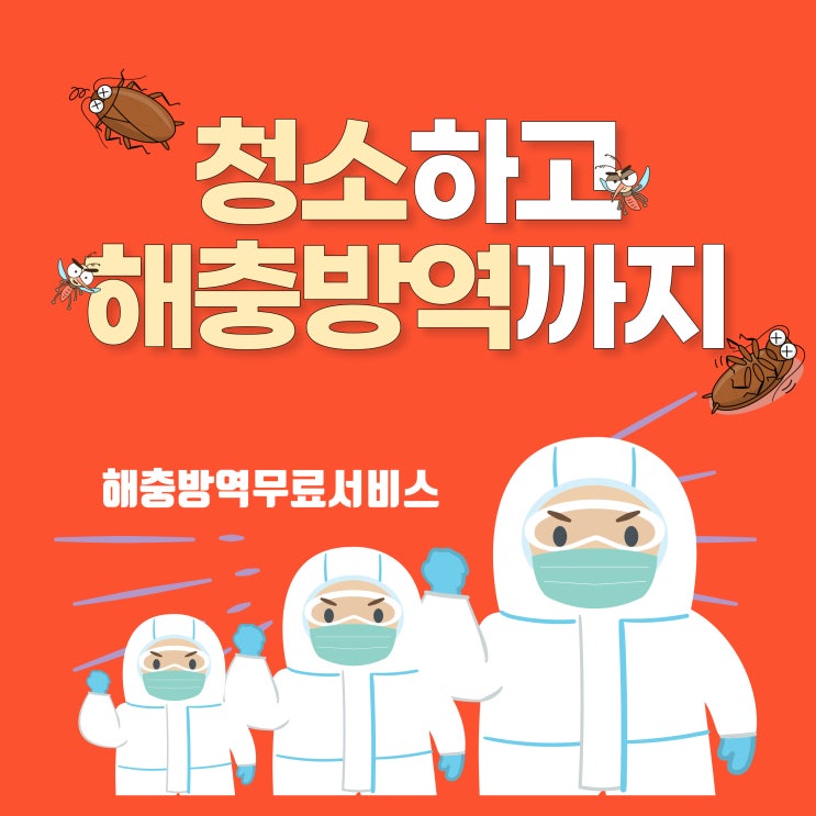  제주도 입주청소하고 해충방역까지~(반하다클린)이사청소