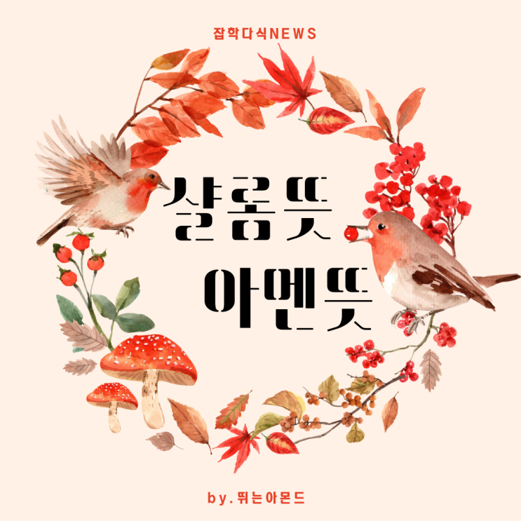  샬롬 뜻,아멘 뜻 모른채 인사하면...난감한데...