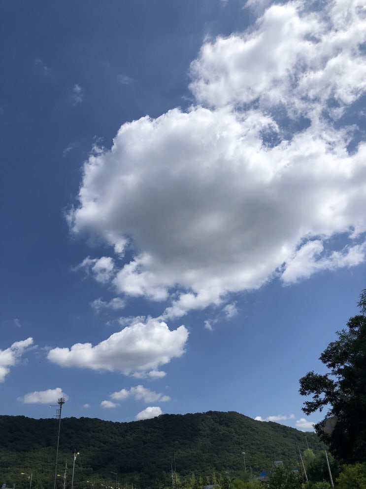  드럼펌프 설치 사용 입니다.