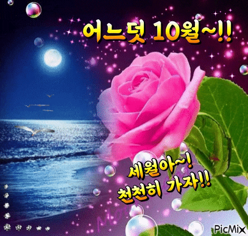  어느덧 10월!! 세월아! 천천히 가자!