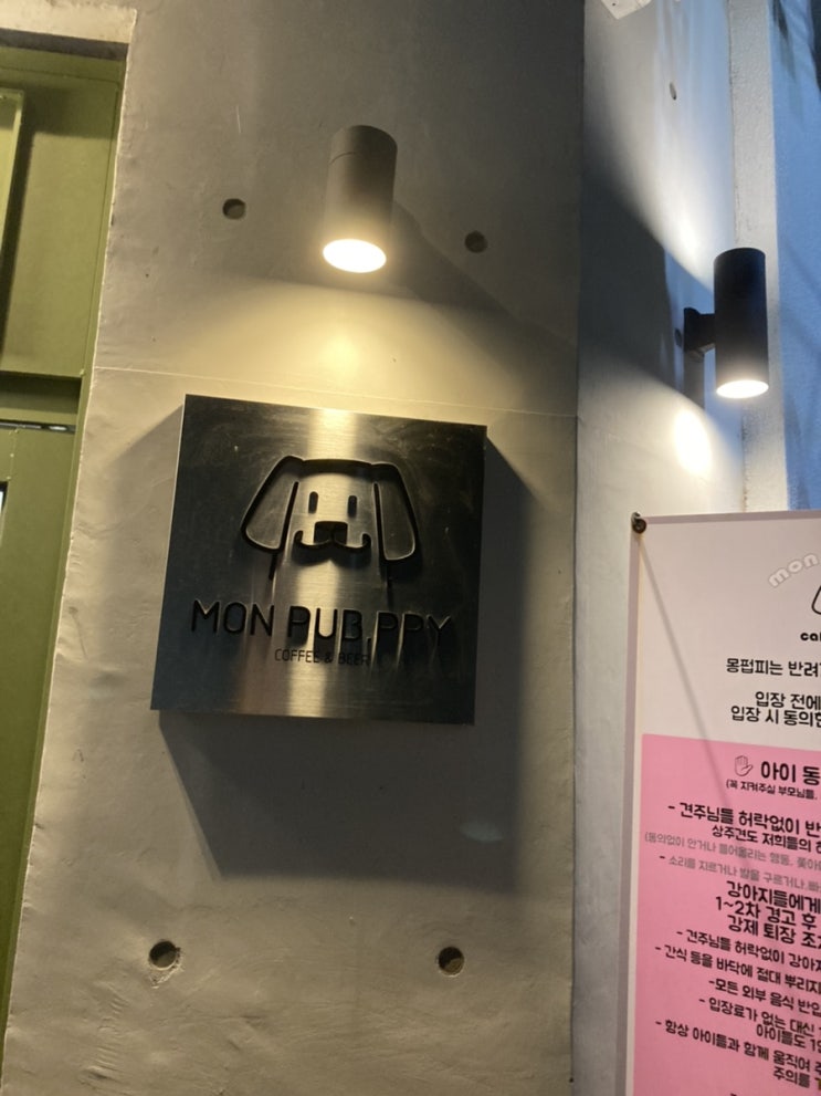  대구 대명동 애견카페 몽펍피