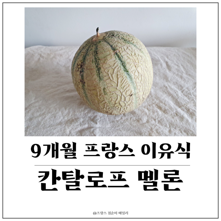  [9개월 아기 프랑스 이유식] 주황색 칸탈로프 멜론 갈아주기