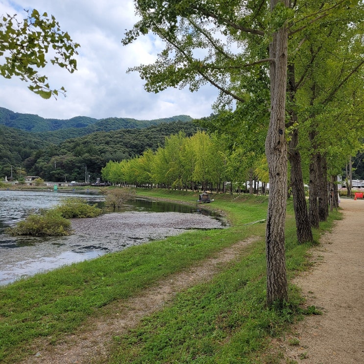 괴산 가볼만한곳 문광저수지 소금랜드 산책코스로 딱