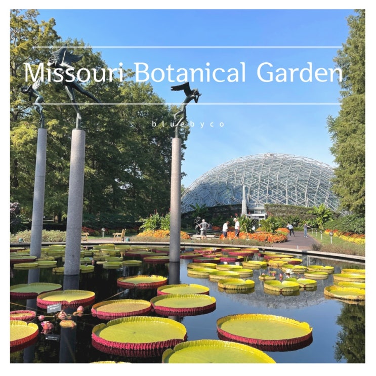 미국 중부 미주리 여행 | 보타닉가든 Missouri Botanical Garden