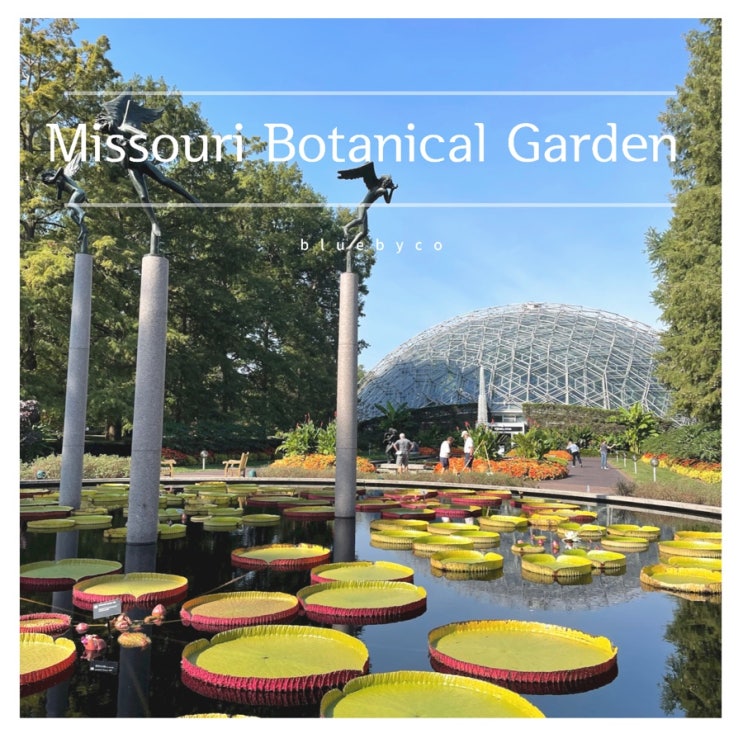  미국 중부 미주리 여행 | 보타닉가든 Missouri Botanical Garden