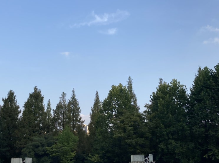  벼락치기