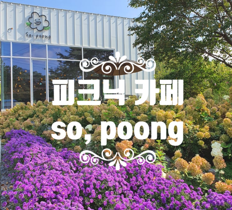  [Cafe] 양평 피크닉카페 - so, poong
