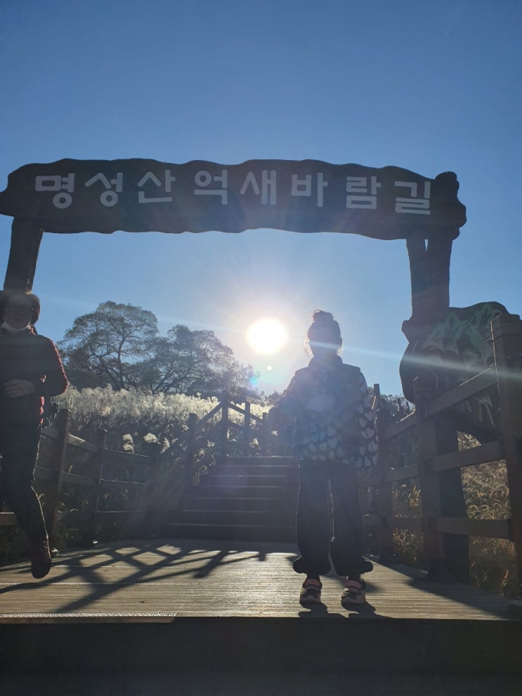  포천 산정호수 명성산 억새꽃축제 장관을 펼쳐보이다