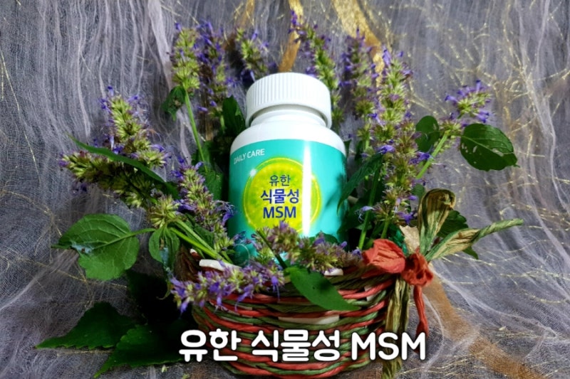 MSM 식이유황인 유한 식물성 MSM으로 관절건강 지키시고 활기찬 삶 되세요!