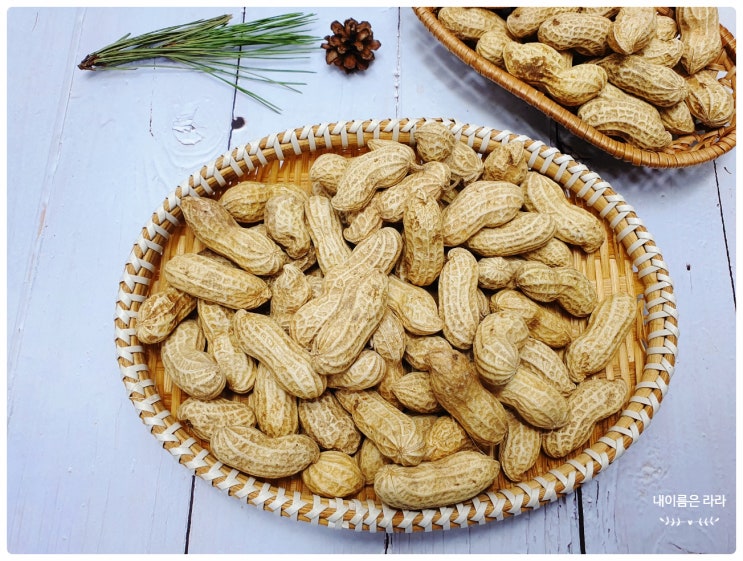  껍질 땅콩 삶는 법 맛있게 삶기 삶은 햇땅콩 칼로리 효능 보관법