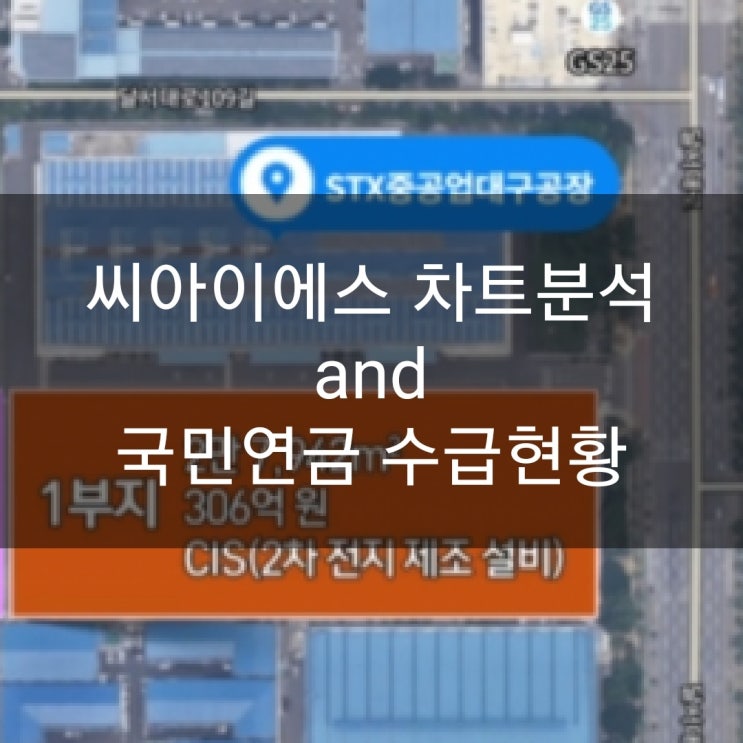  씨아이에스 차트분석 and 국민연금 수급현황