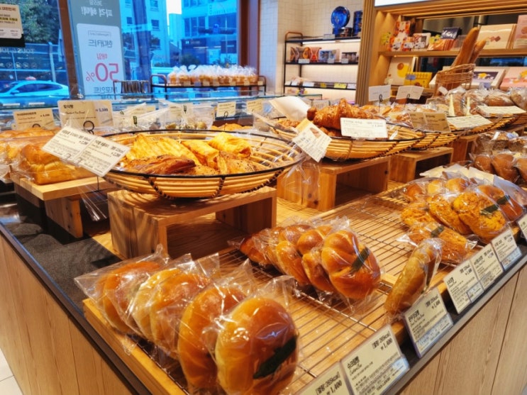  뚜레쥬르 신상 종류와 가격 초코스콘 밤모스 쫄깃쫄깃 탕종식빵