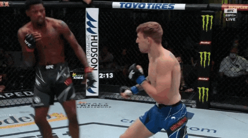 UFC 베가스 38: 산토스 vs  워커 리뷰(GIF) - 버팅과 비디오 판독 도입