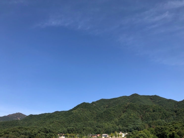  오늘도 이쁘다