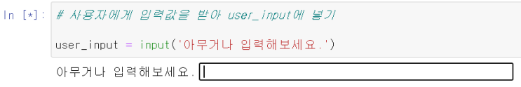  [파이썬] 사용자 입출력 (input, print)