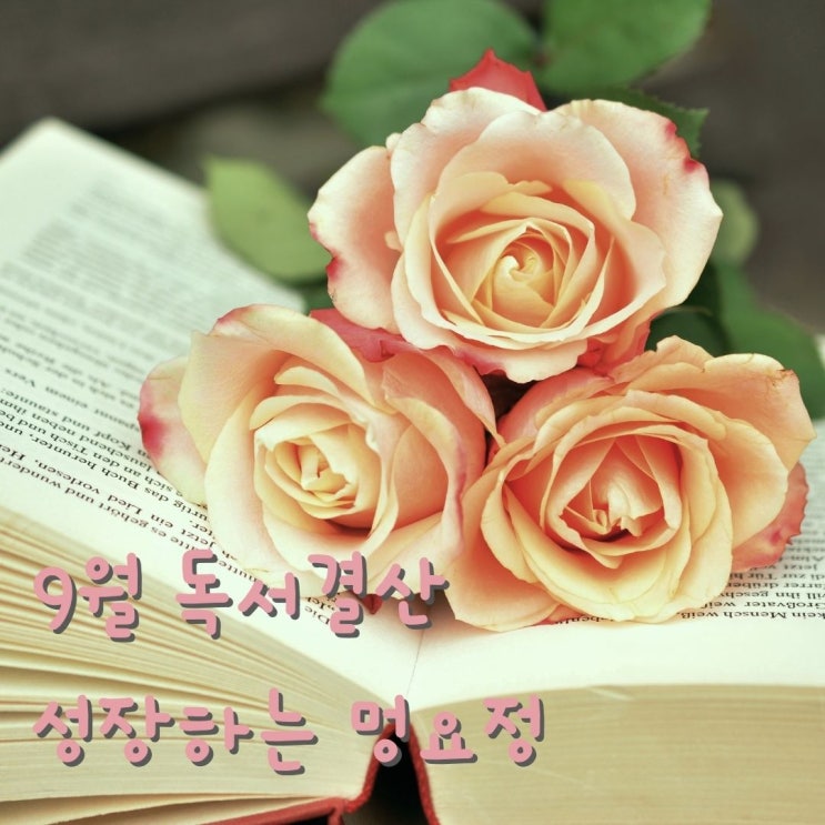 9월 독서 17권. 이번달 추천책