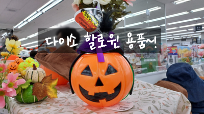  다이소 할로윈 용품 미리미리 준비하세요 / 가성비 좋은 할로윈 캠핑용품 준비 / 다이소 신림,봉천점 할로윈 굿즈