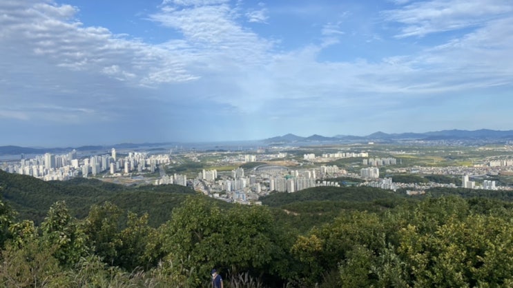  부자선언 - 잘먹고 잘사는 삶을 위하여!