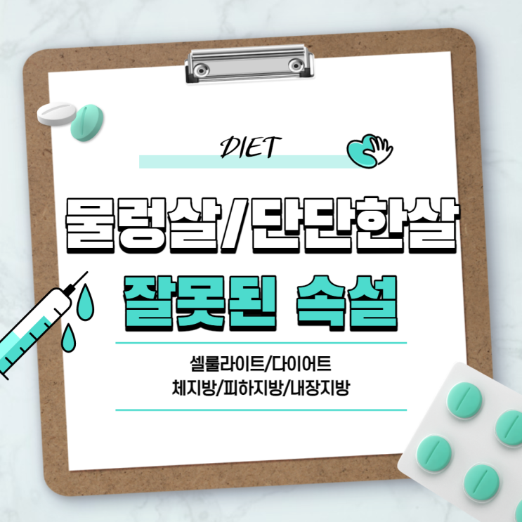  물렁살과 단단한살에 대한 잘못된 속설 【#셀룰라이트 #피하지방 #내장지방 #다이어트 #체지방】